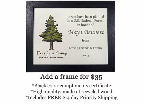 Vet & Pet Business Memorial Tree Gift