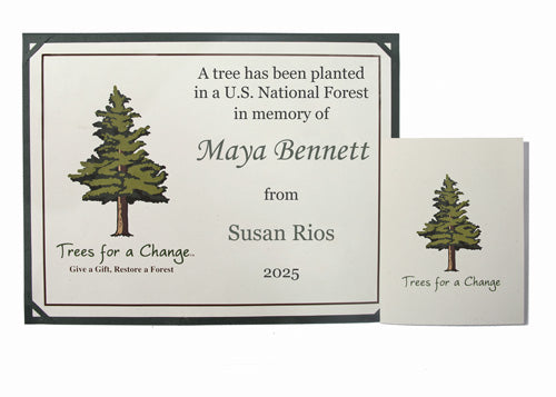 memorial tree gift