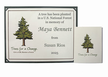 Memorial Tree Gift