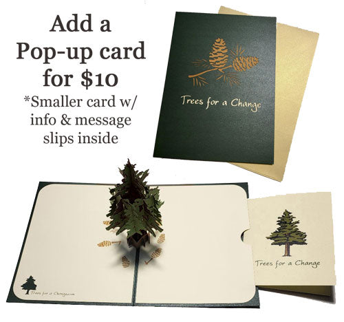 Tree Gift Cards