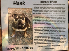 Hank🌈 Your short life was so full of love & joy! Forever in our hearts buddy! 