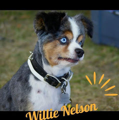 Willie Nelson McKim